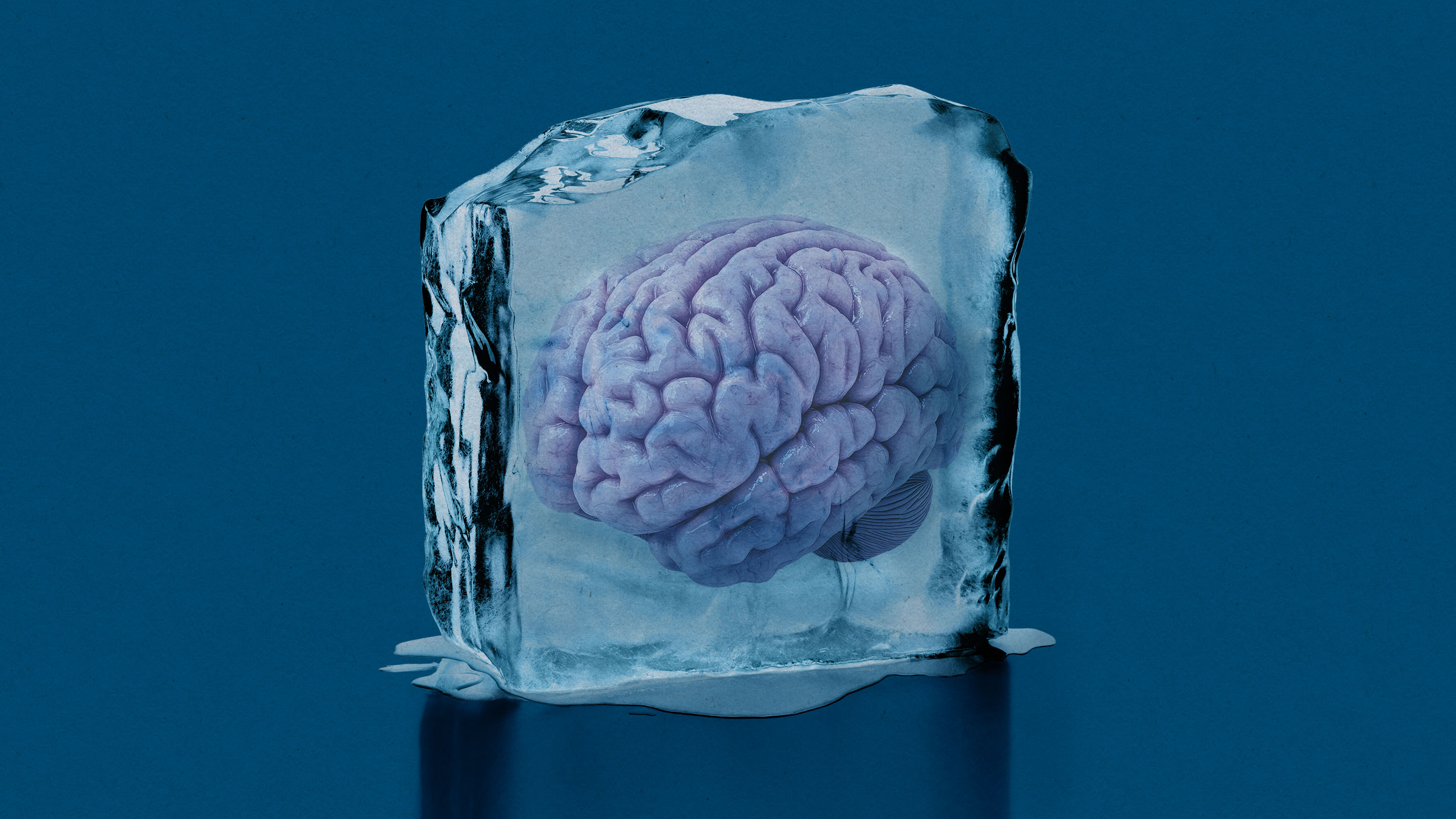brain in ice