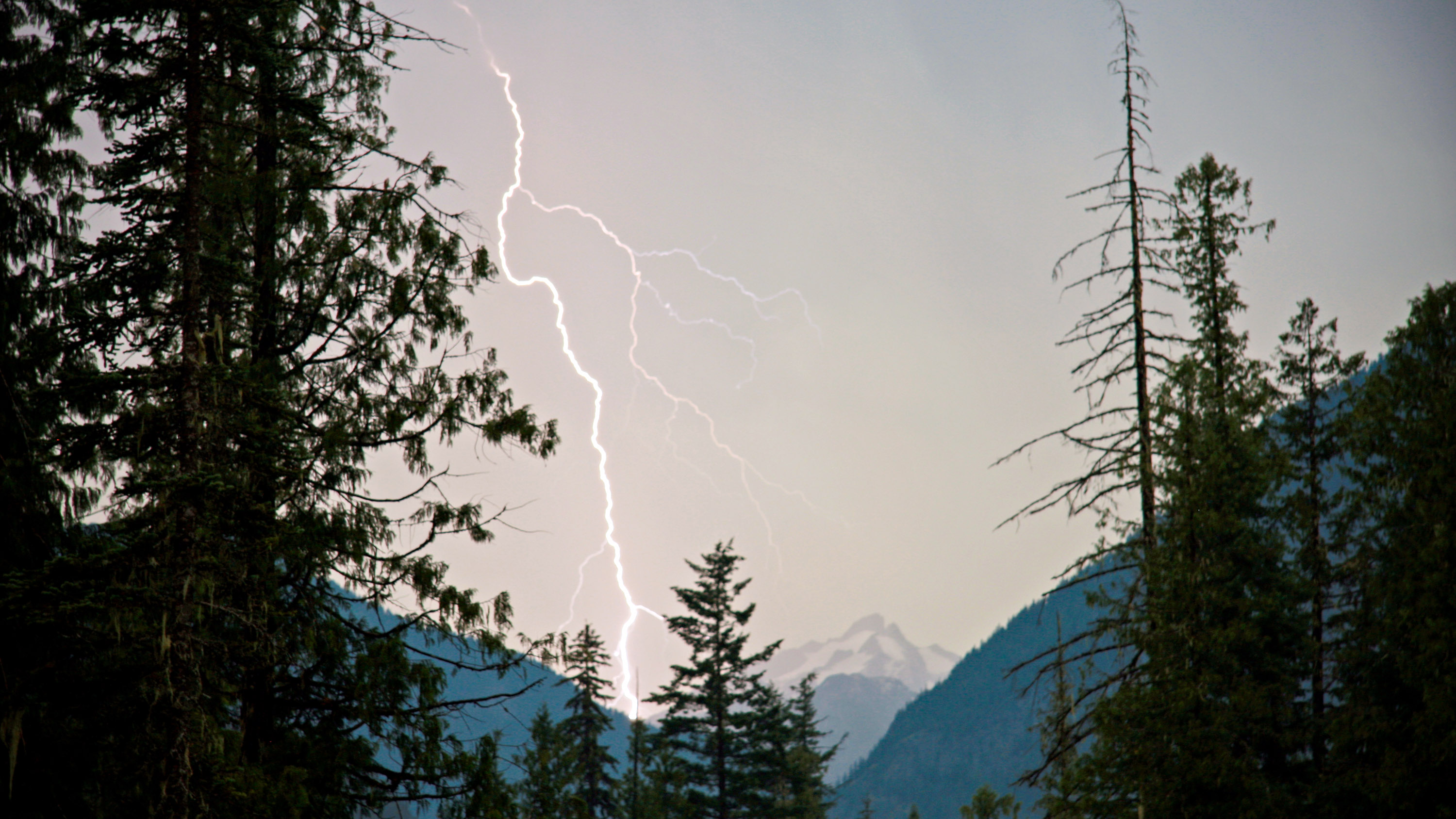 lightning strike in wooded area of Canada