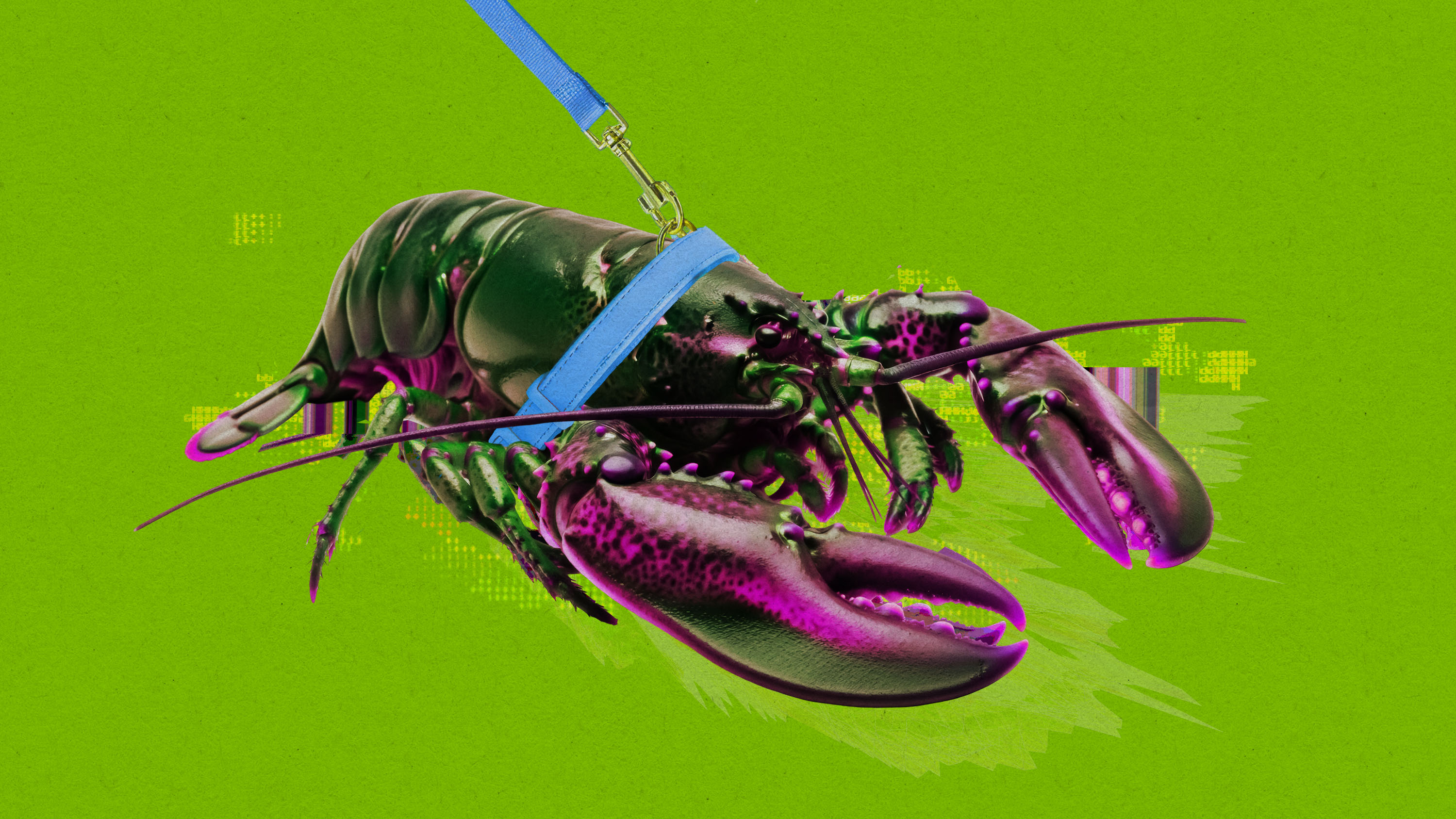 neon lobster on a leash