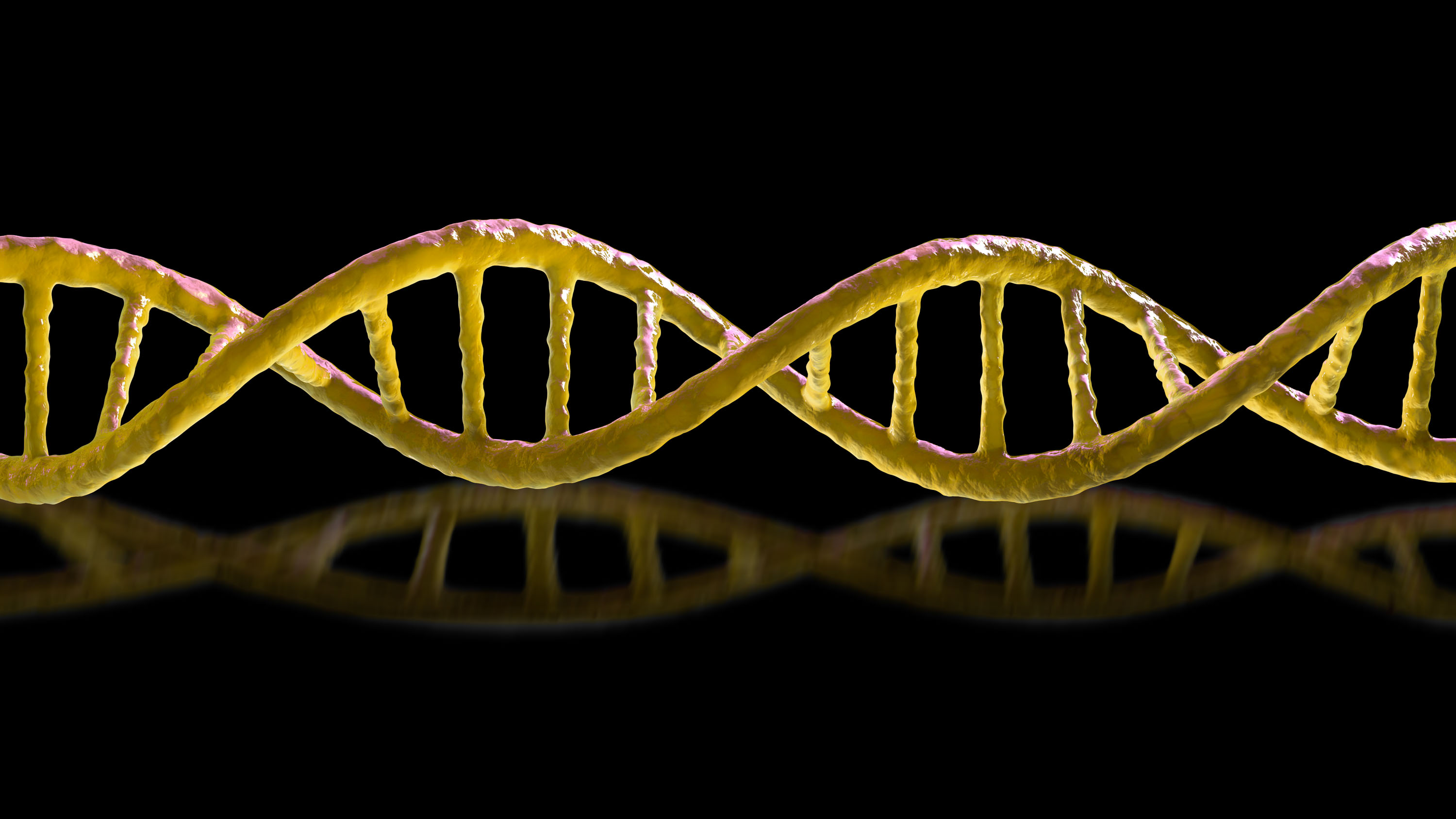 DNA strand with a faint reflection