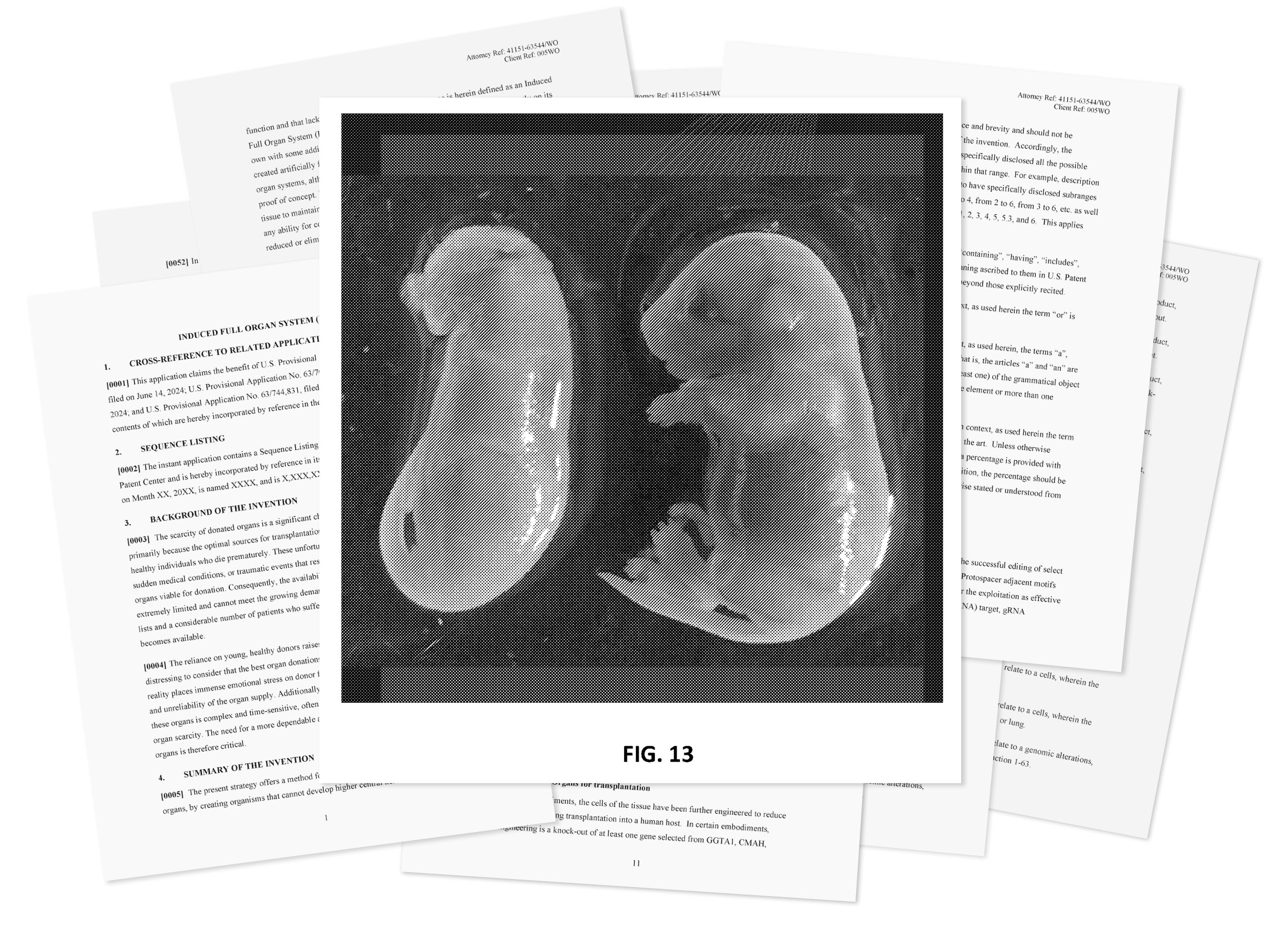 Fig 13 from a patent application